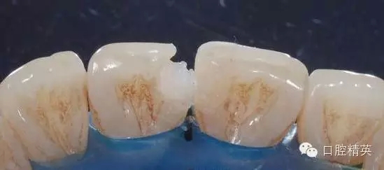 12.webp.jpg 12.webp.jpg