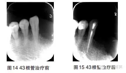 7.webp.jpg 7.webp.jpg