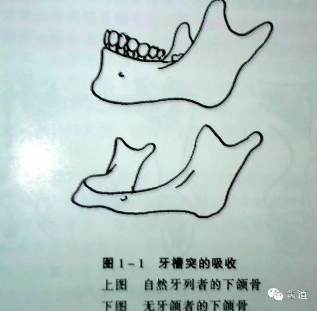 2.webp.jpg 2.webp.jpg