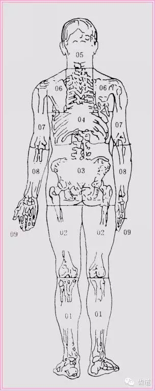 30.webp.jpg 30.webp.jpg