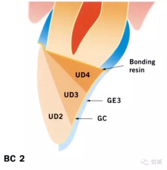 11.webp (1).jpg 11.webp (1).jpg