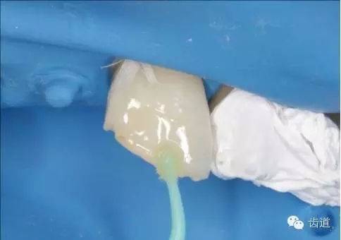 21.webp.jpg 21.webp.jpg