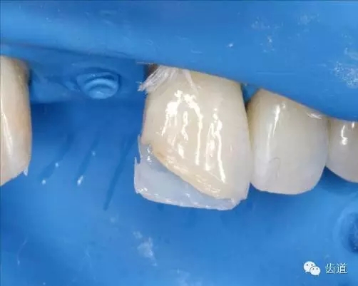 25.webp.jpg 25.webp.jpg