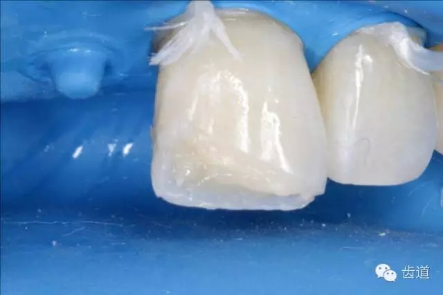 28.webp.jpg 28.webp.jpg