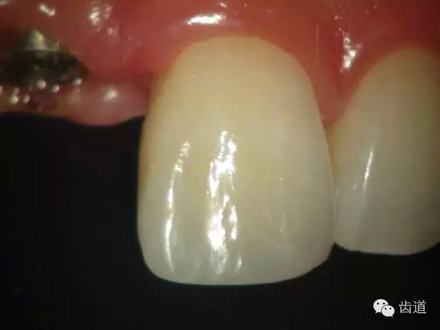 41.webp.jpg 41.webp.jpg