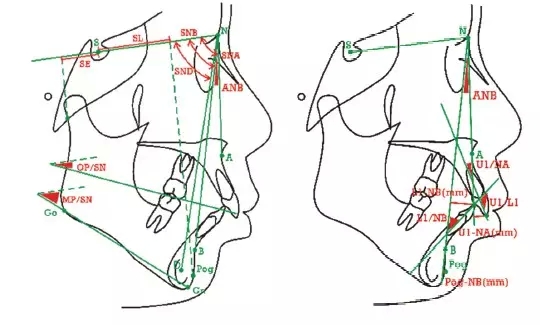 口腔臨床數(shù)據(jù)庫 口腔臨床數(shù)據(jù)庫