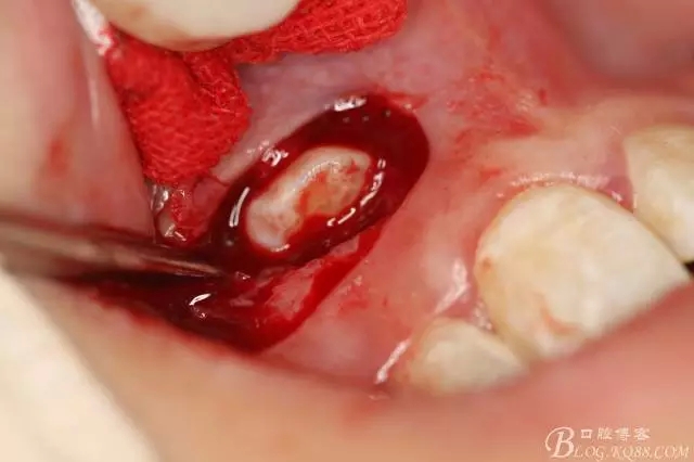 7.webp.jpg 7.webp.jpg