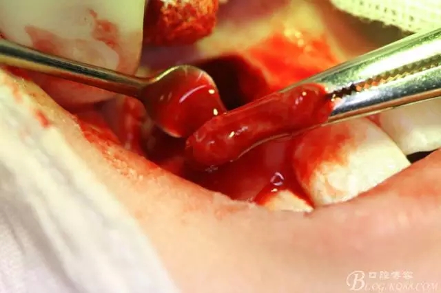 9.webp.jpg 9.webp.jpg