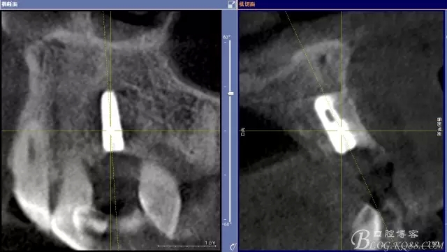 13.webp.jpg 13.webp.jpg