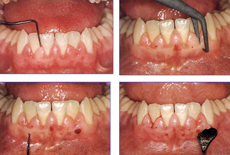 圖片3.png 圖片3.png