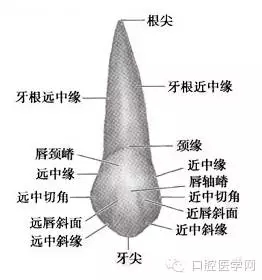 1.webp.jpg 1.webp.jpg