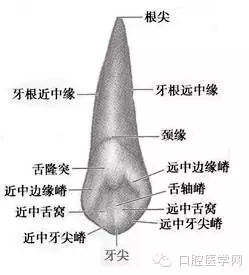 2.webp.jpg 2.webp.jpg