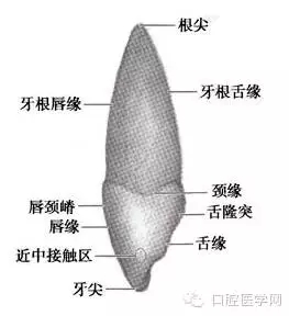 3.webp.jpg 3.webp.jpg