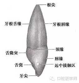 4.webp.jpg 4.webp.jpg