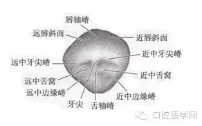 5.webp.jpg 5.webp.jpg