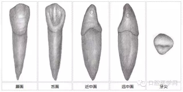 6.webp.jpg 6.webp.jpg