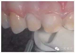 13.webp.jpg 13.webp.jpg