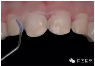 17.webp.jpg 17.webp.jpg