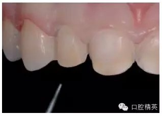 21.webp.jpg 21.webp.jpg