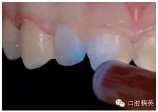 24.webp.jpg 24.webp.jpg