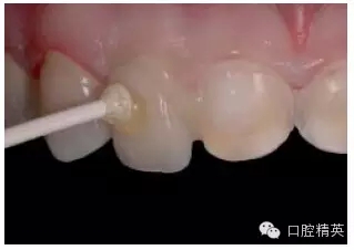 26.webp.jpg 26.webp.jpg