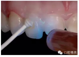 27.webp.jpg 27.webp.jpg