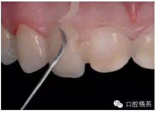 29.webp.jpg 29.webp.jpg