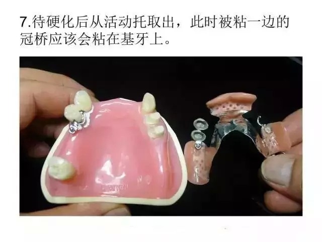 11.webp.jpg 11.webp.jpg