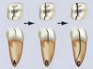 1.webp.jpg 1.webp.jpg