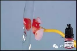 4.webp.jpg 4.webp.jpg