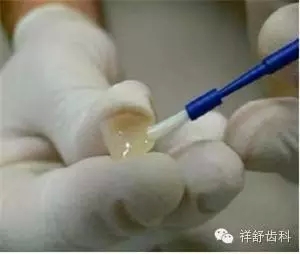 5.webp.jpg 5.webp.jpg