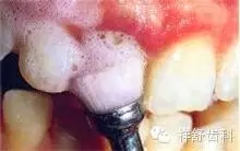 8.webp.jpg 8.webp.jpg