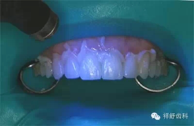 12.webp.jpg 12.webp.jpg