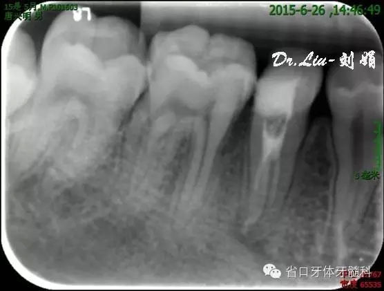 8.webp.jpg 8.webp.jpg