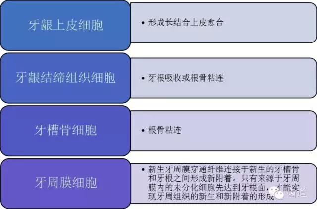 1.webp.jpg 1.webp.jpg