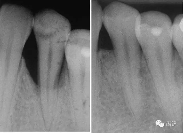 23.webp.jpg 23.webp.jpg