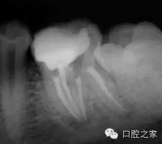 50.webp.jpg 50.webp.jpg