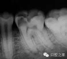 51.webp.jpg 51.webp.jpg