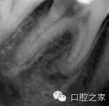 52.webp.jpg 52.webp.jpg