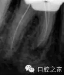 53.webp.jpg 53.webp.jpg