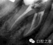 54.webp.jpg 54.webp.jpg