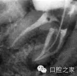 55.webp.jpg 55.webp.jpg