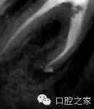 56.webp.jpg 56.webp.jpg