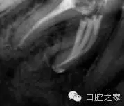 57.webp.jpg 57.webp.jpg