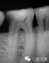 58.webp.jpg 58.webp.jpg