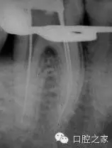 59.webp.jpg 59.webp.jpg