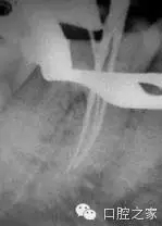 61.webp.jpg 61.webp.jpg