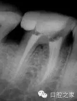 62.webp.jpg 62.webp.jpg