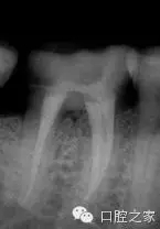 63.webp.jpg 63.webp.jpg