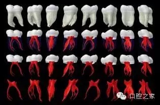 64.webp.jpg 64.webp.jpg